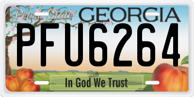 GA license plate PFU6264