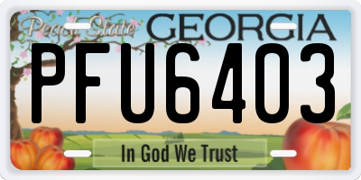 GA license plate PFU6403