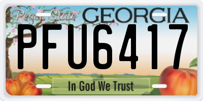 GA license plate PFU6417