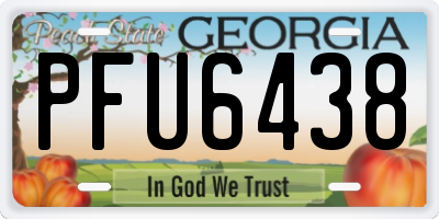 GA license plate PFU6438