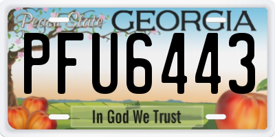 GA license plate PFU6443