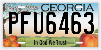 GA license plate PFU6463