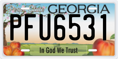 GA license plate PFU6531