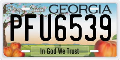 GA license plate PFU6539