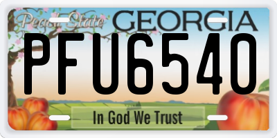 GA license plate PFU6540