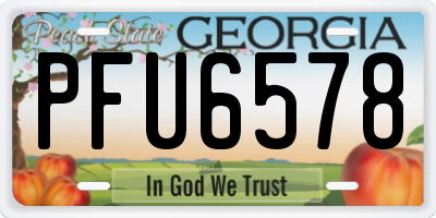 GA license plate PFU6578