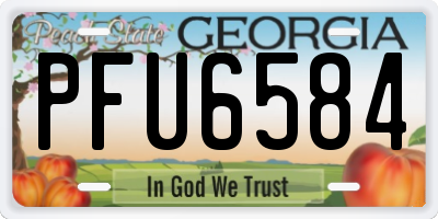 GA license plate PFU6584