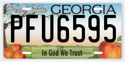 GA license plate PFU6595