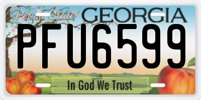 GA license plate PFU6599