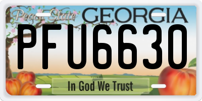 GA license plate PFU6630