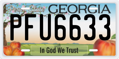 GA license plate PFU6633