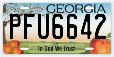GA license plate PFU6642