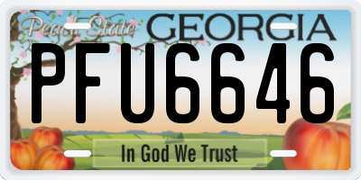 GA license plate PFU6646