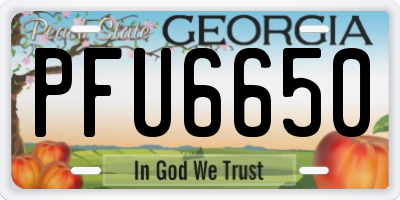 GA license plate PFU6650