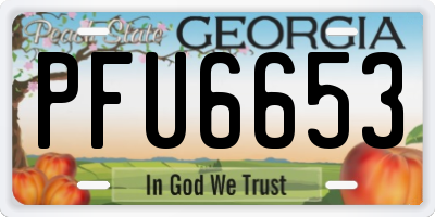 GA license plate PFU6653
