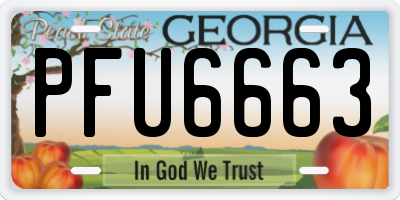 GA license plate PFU6663