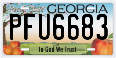 GA license plate PFU6683
