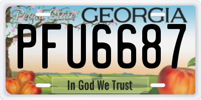 GA license plate PFU6687