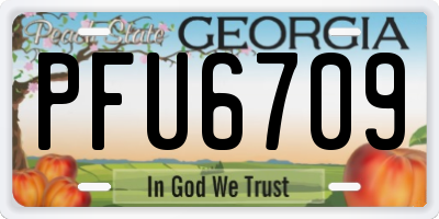 GA license plate PFU6709