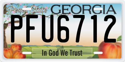 GA license plate PFU6712