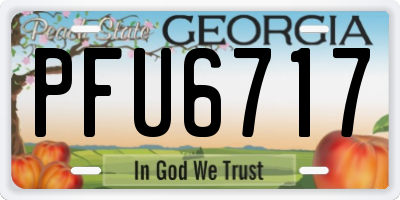 GA license plate PFU6717