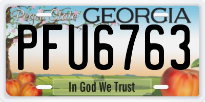 GA license plate PFU6763