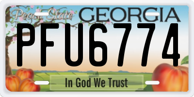 GA license plate PFU6774