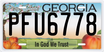 GA license plate PFU6778