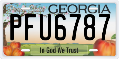 GA license plate PFU6787