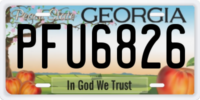GA license plate PFU6826