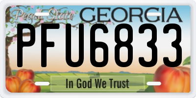 GA license plate PFU6833