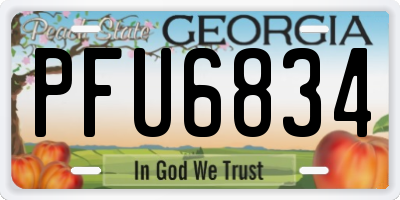 GA license plate PFU6834