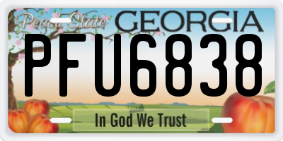 GA license plate PFU6838
