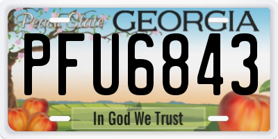 GA license plate PFU6843