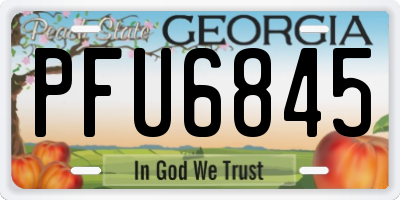 GA license plate PFU6845