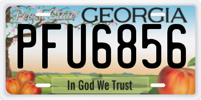 GA license plate PFU6856