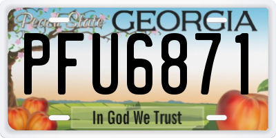 GA license plate PFU6871