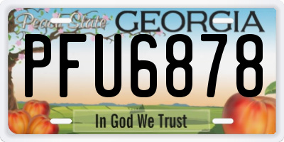 GA license plate PFU6878