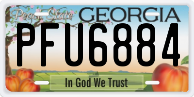 GA license plate PFU6884
