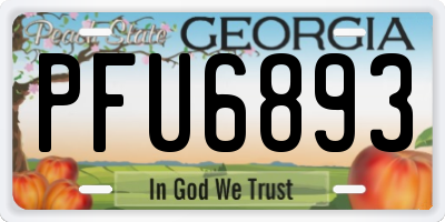 GA license plate PFU6893