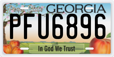 GA license plate PFU6896