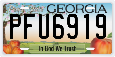 GA license plate PFU6919