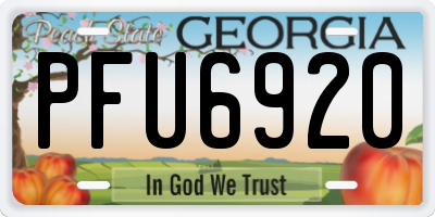 GA license plate PFU6920