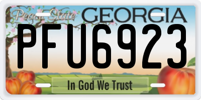GA license plate PFU6923