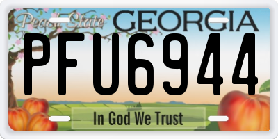 GA license plate PFU6944