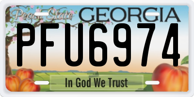 GA license plate PFU6974