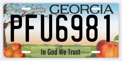 GA license plate PFU6981
