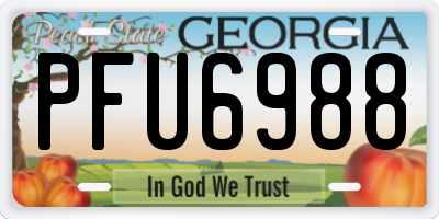 GA license plate PFU6988