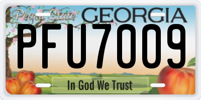 GA license plate PFU7009