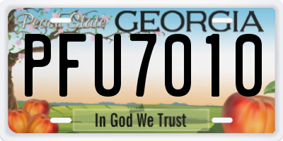 GA license plate PFU7010